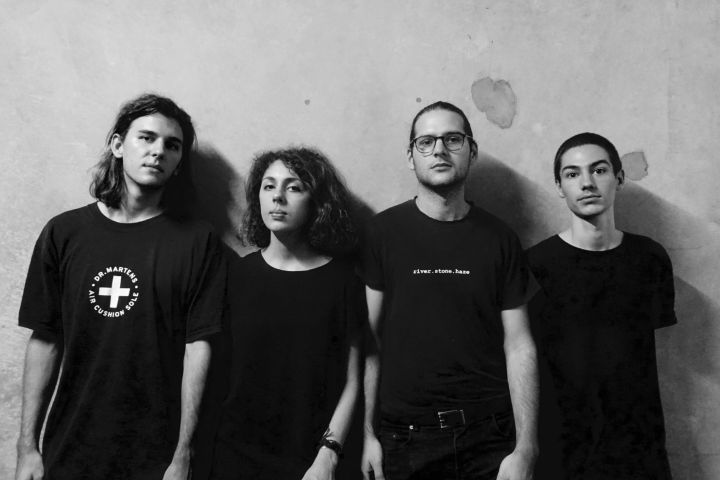 The Biology Of Plants 